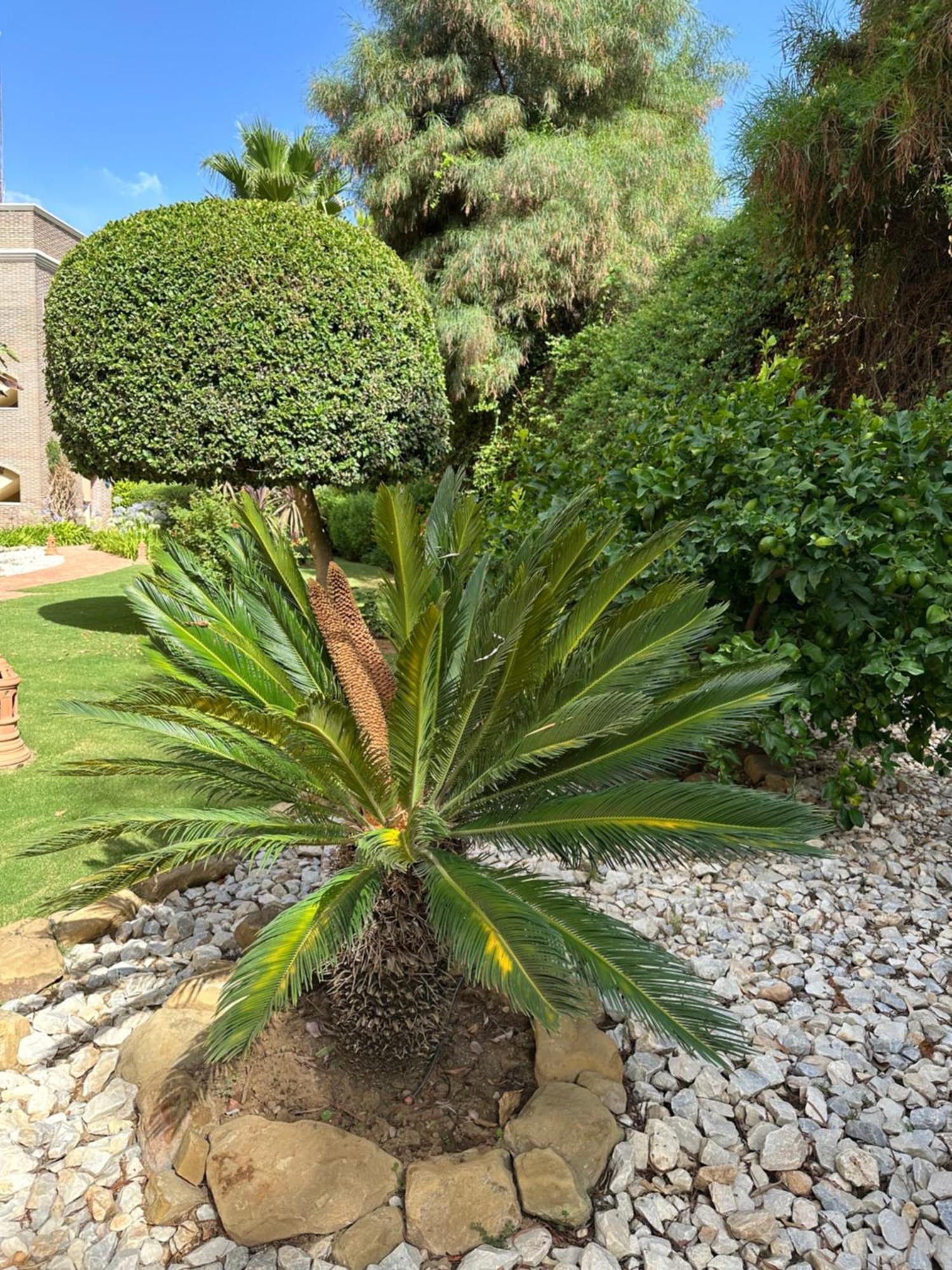 Los Arqueros Las Jacarandas 贝纳阿维斯 外观 照片